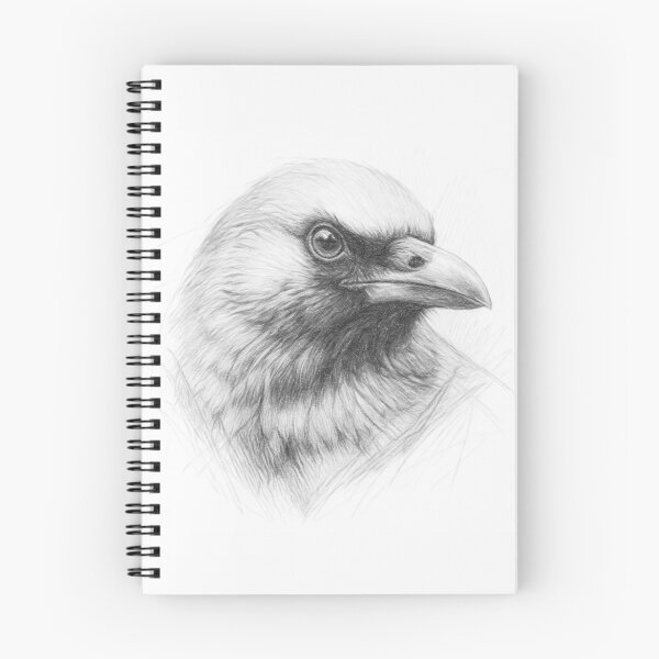 Artikelvorschau, Bleistiftskizze einer Dohle – Detailliertes Schwarz-Weiß-Vogelporträt entworfen und verkauft von Leon Woods Pencil Art.