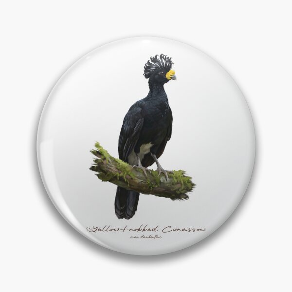 Item preview, Yellow-knobbed Curassow on Mossy Branch Bird Illustration designed and sold by Takeda-art.