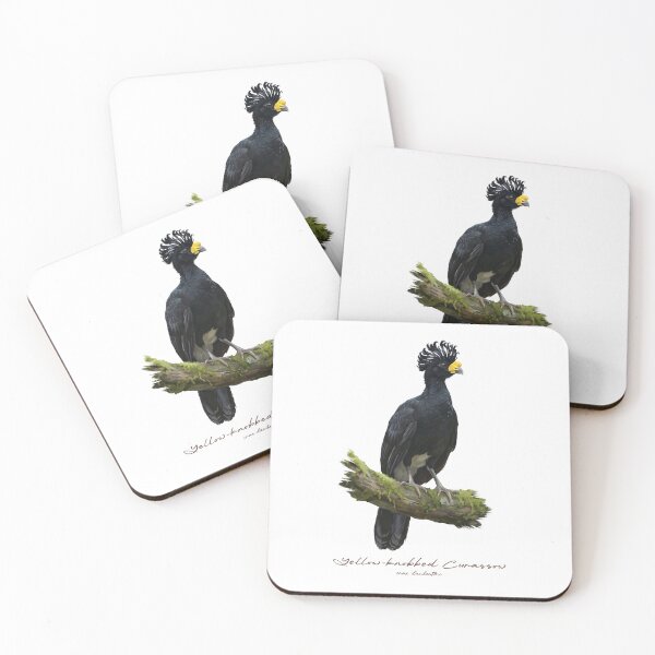 Item preview, Yellow-knobbed Curassow on Mossy Branch Bird Illustration designed and sold by Takeda-art.