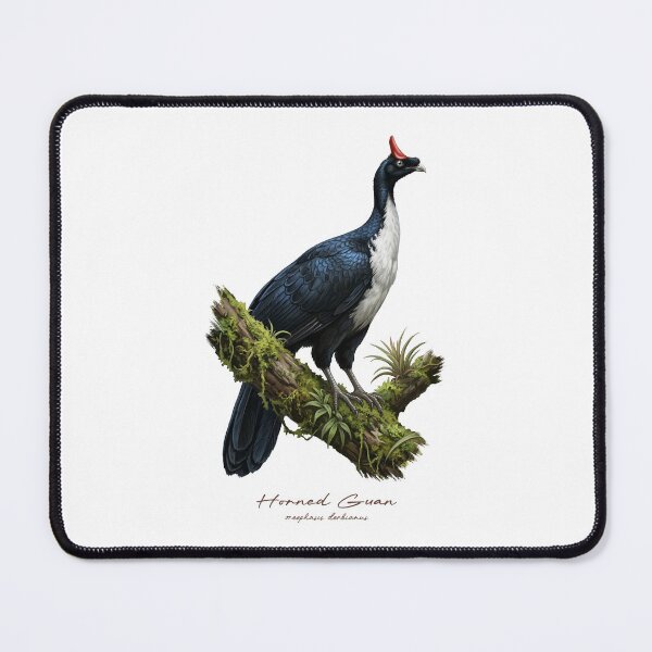 Item preview, Horned Guan on Mossy Tree Bird Illustration designed and sold by Takeda-art.