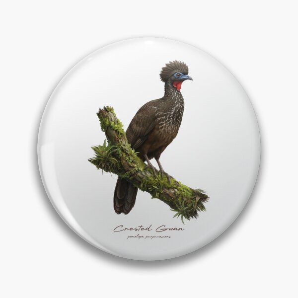 Item preview, Crested Guan on Mossy Branch Bird Illustration designed and sold by Takeda-art.