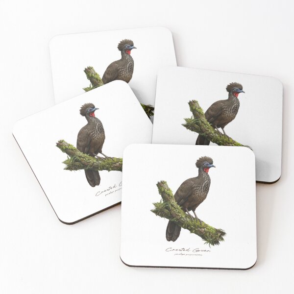 Item preview, Crested Guan on Mossy Branch Bird Illustration designed and sold by Takeda-art.