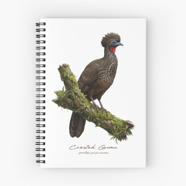 Item preview, Crested Guan on Mossy Branch Bird Illustration designed and sold by Takeda-art.