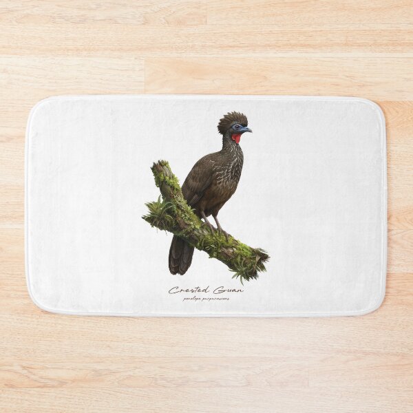 Item preview, Crested Guan on Mossy Branch Bird Illustration designed and sold by Takeda-art.