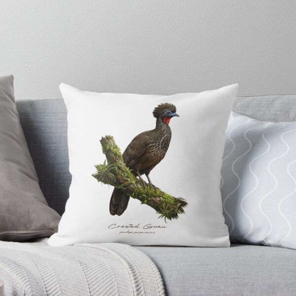 Item preview, Crested Guan on Mossy Branch Bird Illustration designed and sold by Takeda-art.