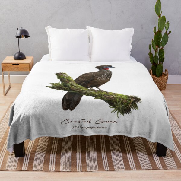 Item preview, Crested Guan on Mossy Branch Bird Illustration designed and sold by Takeda-art.