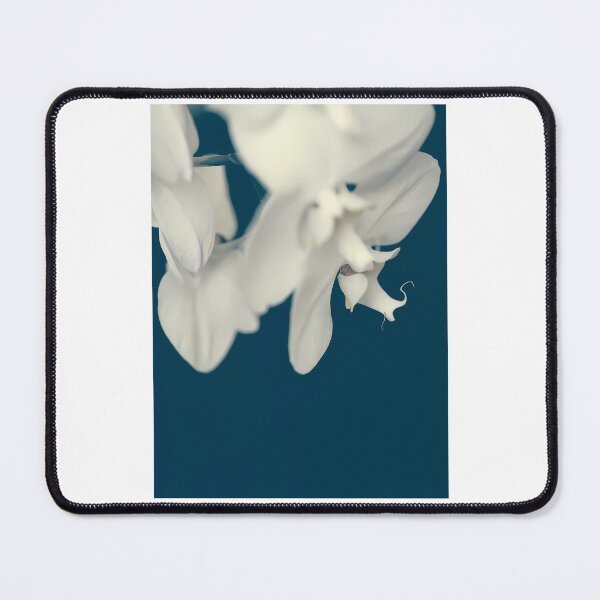 Item preview, White Orchids designed and sold by war-aooldridge.