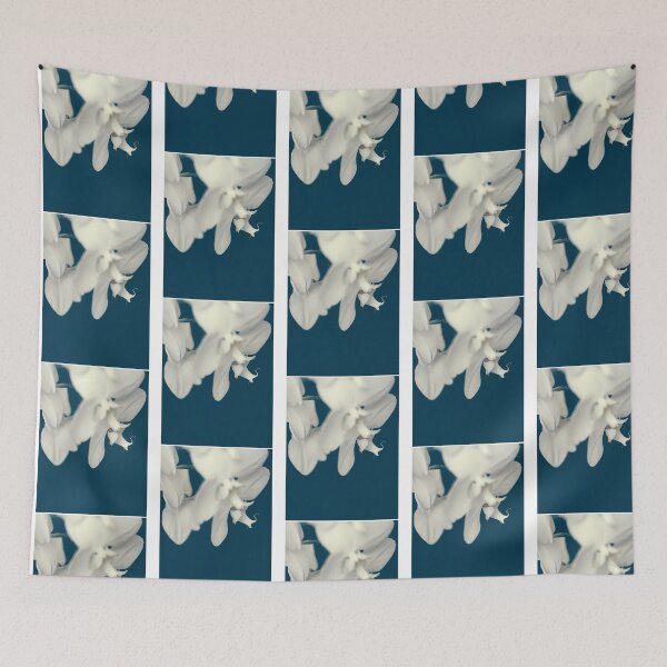 Item preview, White Orchids designed and sold by war-aooldridge.