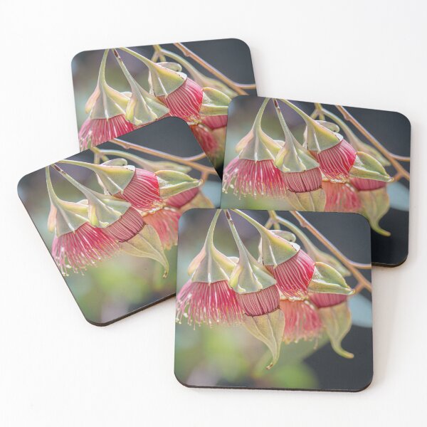 Item preview, Wing-Fruited Mallee Eucalyptus alatissima Macro – Fine Art Photography Print designed and sold by MinzMarchStudio.