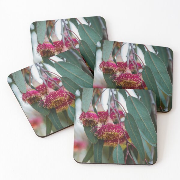 Item preview, Silver Princess Eucalyptus Bloom Macro 3 – Wall Art Photography Print designed and sold by MinzMarchStudio.