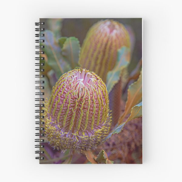 Item preview,  Firewood Banksia menziesii 2 – Fine Art Photography Print designed and sold by MinzMarchStudio.
