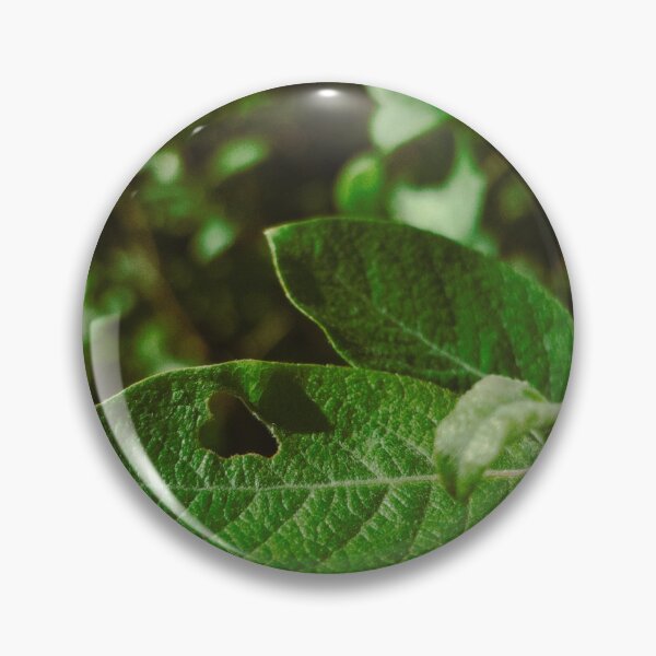 Item preview, cute leaf spotted near dunfermline (scotland) (may 2026) designed and sold by photosbykel.