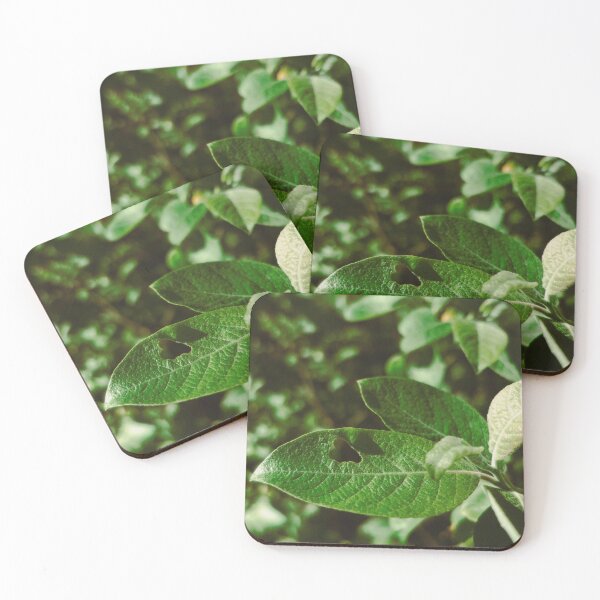 Item preview, cute leaf spotted near dunfermline (scotland) (may 2026) designed and sold by photosbykel.