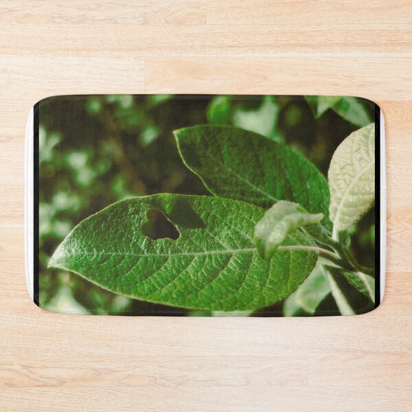 Item preview, cute leaf spotted near dunfermline (scotland) (may 2026) designed and sold by photosbykel.