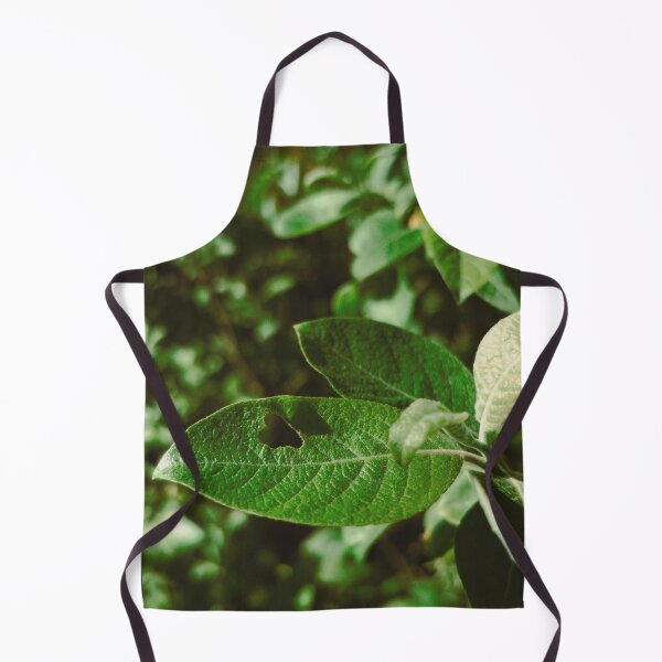 Item preview, cute leaf spotted near dunfermline (scotland) (may 2026) designed and sold by photosbykel.