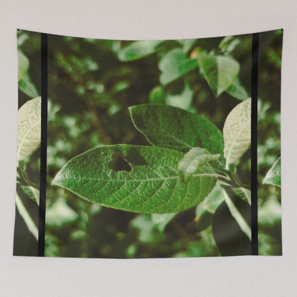 Item preview, cute leaf spotted near dunfermline (scotland) (may 2026) designed and sold by photosbykel.