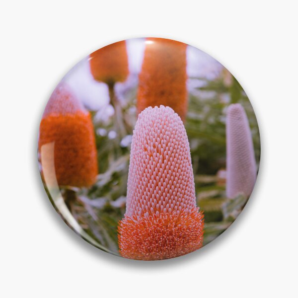 Item preview, Vibrant Orange Acorn Banksia prionotes - Vibrant Orange Botanical Art  designed and sold by MinzMarchStudio.