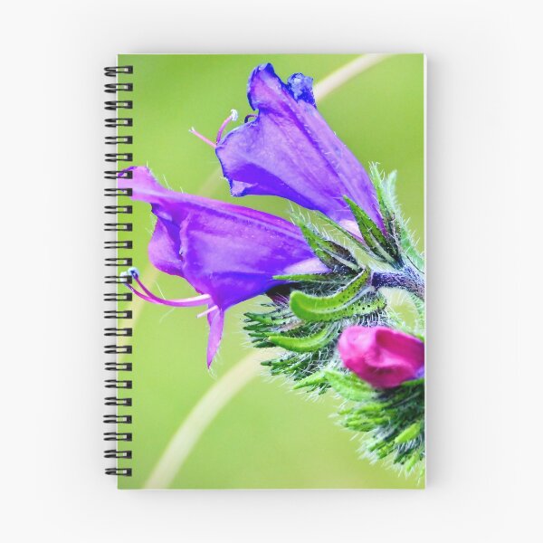 Item preview, Delicate Purple Wildflower designed and sold by Likoca Photography.
