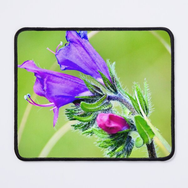Item preview, Delicate Purple Wildflower designed and sold by Likoca Photography.