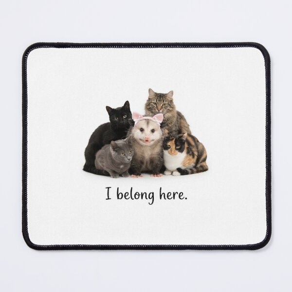 Item preview, I belong here to see here Opossum funny sarcastic sarcasm cat kitten kitty parody christmas birthday designed and sold by CheeseBlueprint.