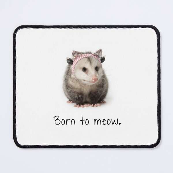 Item preview, Born to meow Opossum funny sarcastic sarcasm cat kitten kitty parody christmas birthday designed and sold by CheeseBlueprint.