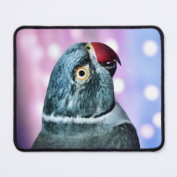 Item preview, Ringneck Parakeet designed and sold by Krameri Creations.