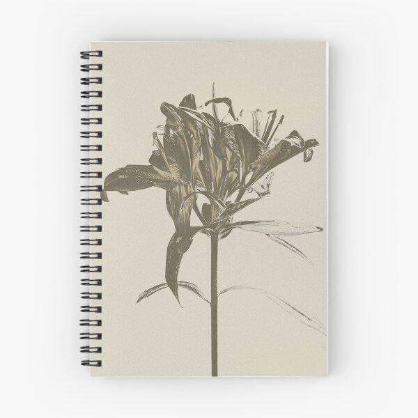 Item preview, Wilted Lily Vintage Botanical Art designed and sold by photossmirnov.