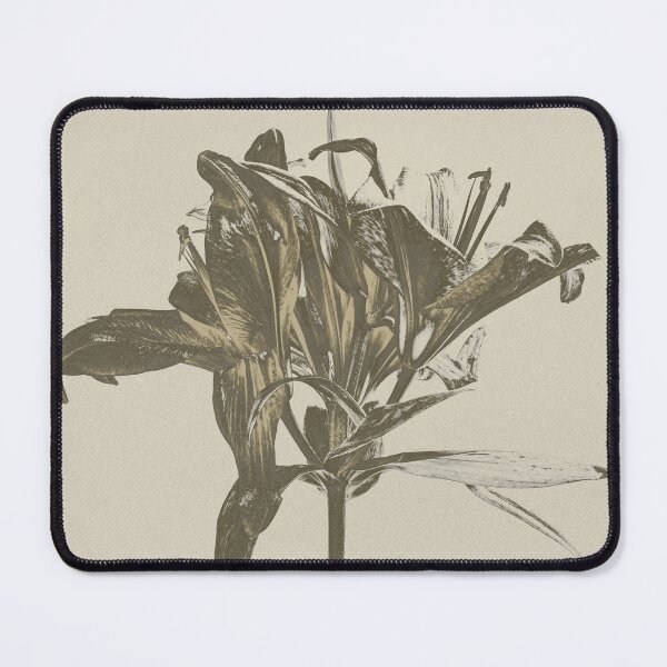 Item preview, Wilted Lily Vintage Botanical Art designed and sold by photossmirnov.