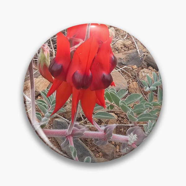 Item preview, Pilbara Desert Peas  designed and sold by cassinki.