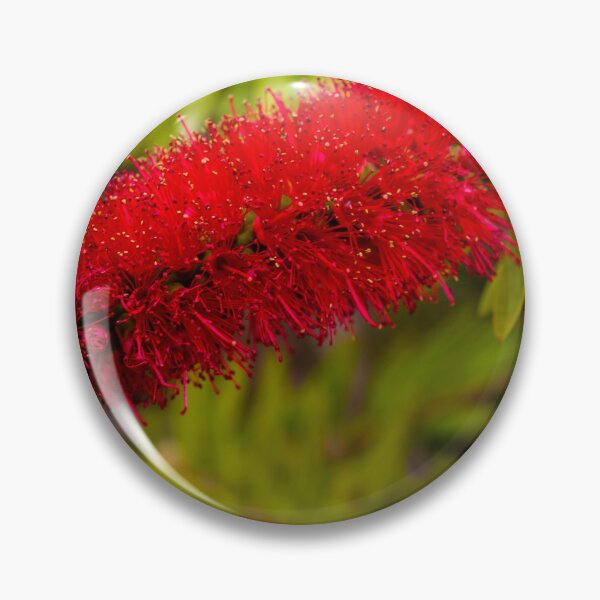 Item preview, Red Bottlebrush Flower Closeup On Green Leaves Vibrant Callistemon Bloom In Garden designed and sold by Nmallia.