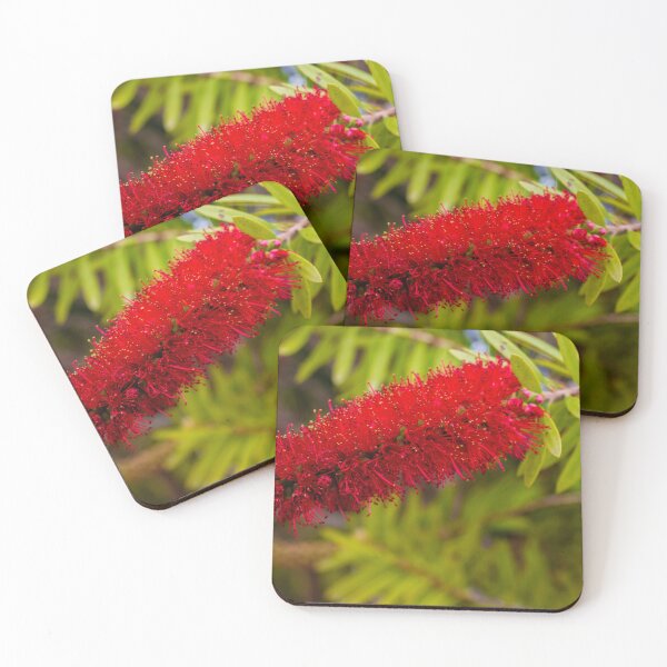 Item preview, Red Bottlebrush Flower Closeup On Green Leaves Vibrant Callistemon Bloom In Garden designed and sold by Nmallia.