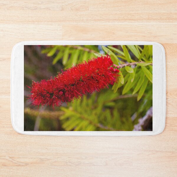 Item preview, Red Bottlebrush Flower Closeup On Green Leaves Vibrant Callistemon Bloom In Garden designed and sold by Nmallia.