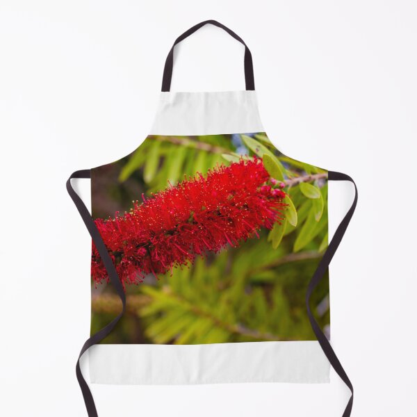 Item preview, Red Bottlebrush Flower Closeup On Green Leaves Vibrant Callistemon Bloom In Garden designed and sold by Nmallia.
