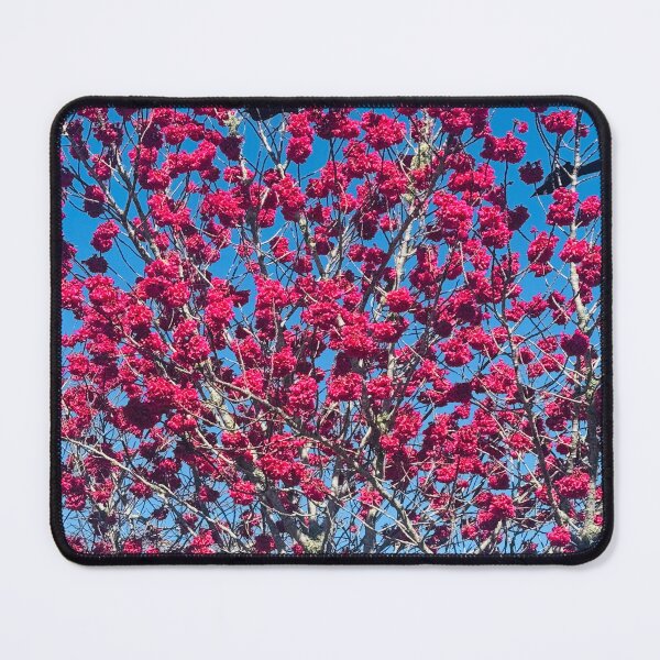 Item preview, Cherry Blossoms designed and sold by Jasbindar Singh.