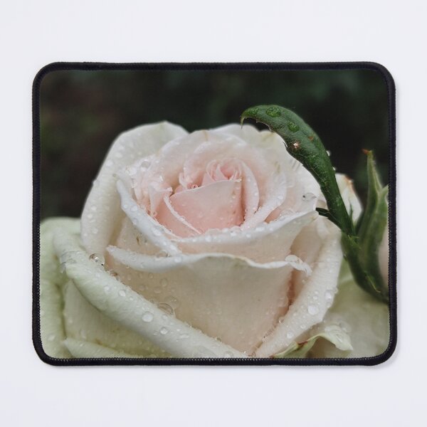 Item preview, Delicate White Pink Rose Catching Rain Outside designed and sold by vtspatial.