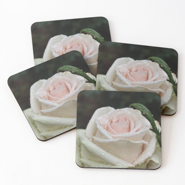 Item preview, Delicate White Pink Rose Catching Rain Outside designed and sold by vtspatial.