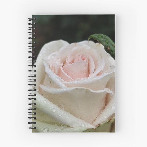 Item preview, Delicate White Pink Rose Catching Rain Outside designed and sold by vtspatial.