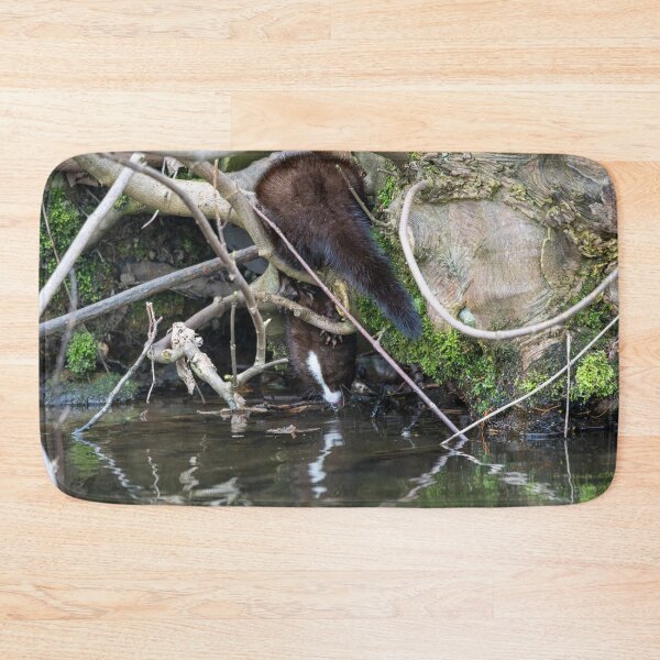 Item preview, American Mink (Neogale vison) drinking water designed and sold by Stephen Jarman.