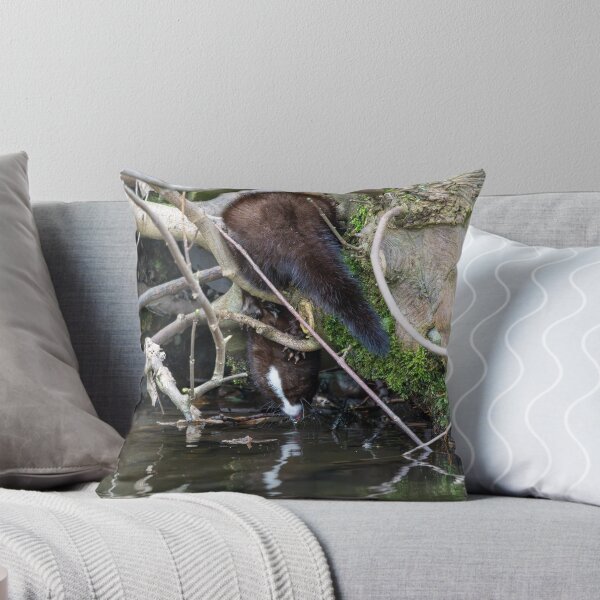 Item preview, American Mink (Neogale vison) drinking water designed and sold by Stephen Jarman.