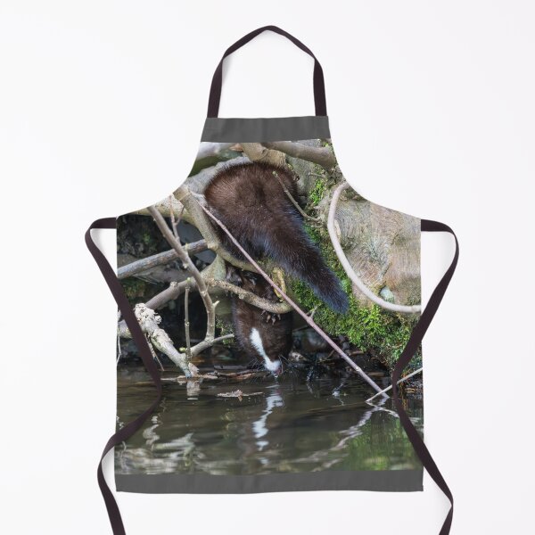 Item preview, American Mink (Neogale vison) drinking water designed and sold by Stephen Jarman.