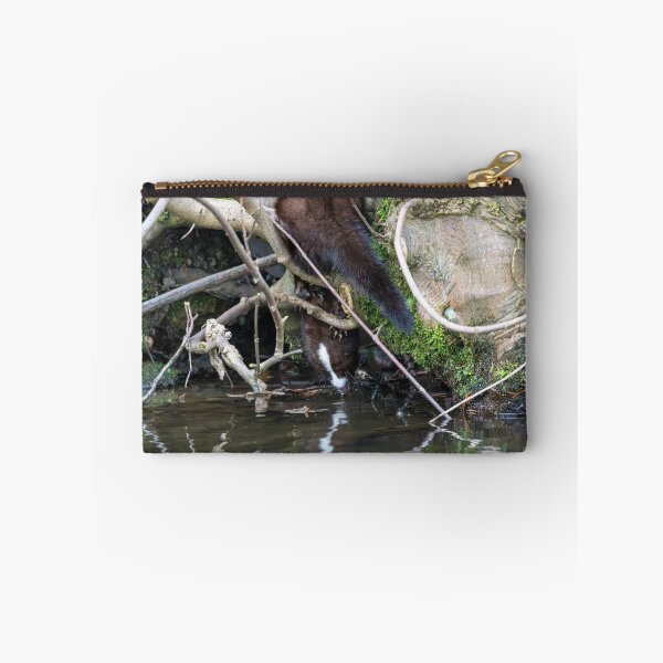 Item preview, American Mink (Neogale vison) drinking water designed and sold by Stephen Jarman.