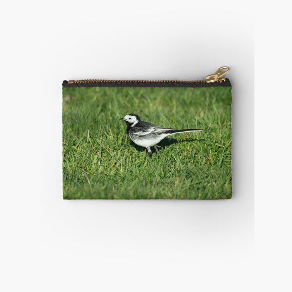 Item preview, Pied Wagtail (Motacilla alba yarrellii) designed and sold by Stephen Jarman.