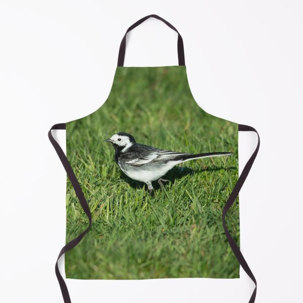 Item preview, Pied Wagtail (Motacilla alba yarrellii) designed and sold by Stephen Jarman.