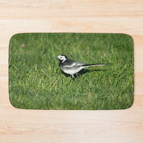 Item preview, Pied Wagtail (Motacilla alba yarrellii) designed and sold by Stephen Jarman.