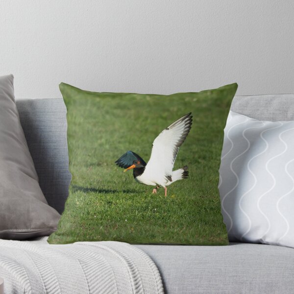 Item preview, Eurasian Oystercatcher (Haematopus ostralegus) designed and sold by Stephen Jarman.