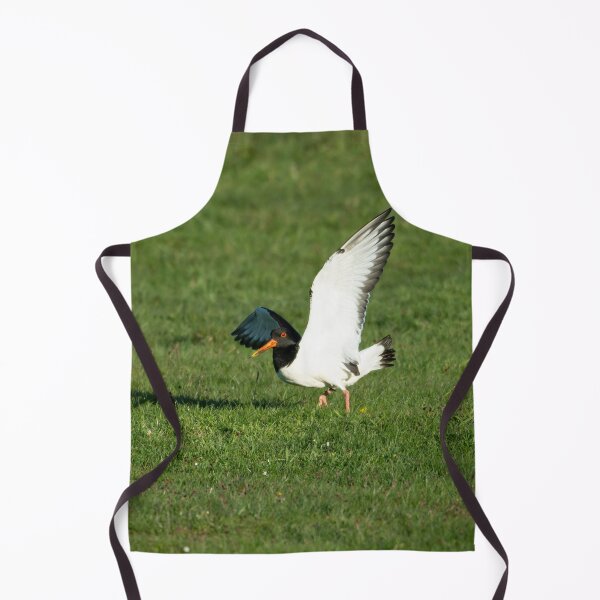 Item preview, Eurasian Oystercatcher (Haematopus ostralegus) designed and sold by Stephen Jarman.