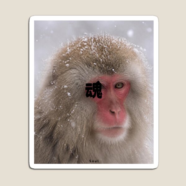 Item preview, Tamashii - Soul | Snow Monkey Winter Scene | Japanese Design designed and sold by JapanMemoir.
