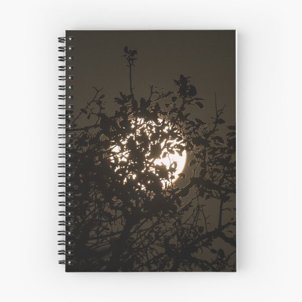 Item preview, Harvest Moon through Trees designed and sold by Sue Robinson.