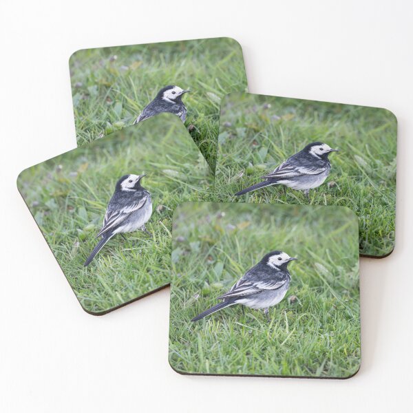 Item preview, Pied Wagtail (Motacilla alba yarrellii) designed and sold by Stephen Jarman.