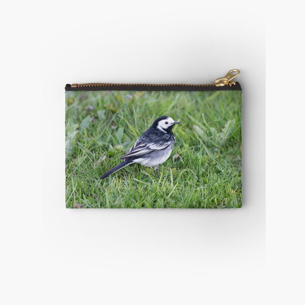 Item preview, Pied Wagtail (Motacilla alba yarrellii) designed and sold by Stephen Jarman.